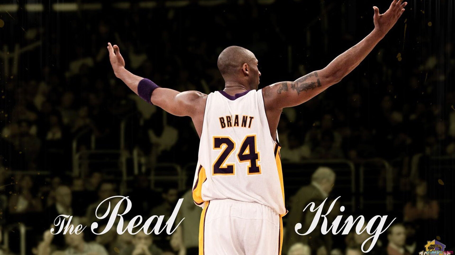 “高新体育中心：篮球赛精彩不断，决战即将来临”